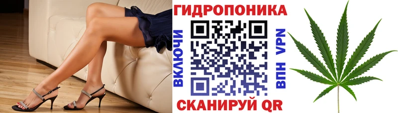 Сколько стоит Ногинск Гашиш COCAIN Галлюциногенные грибы Меф A-PVP