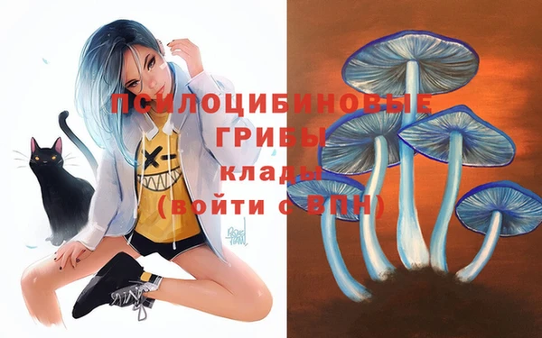 MDMA Каменка
