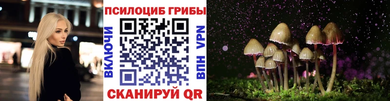 Галлюциногенные грибы мухоморы  ссылка на мегу ТОР  Ногинск 