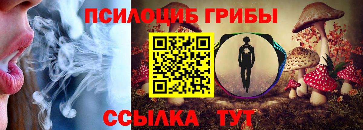 Псилоцибиновые грибы прущие грибы Ногинск