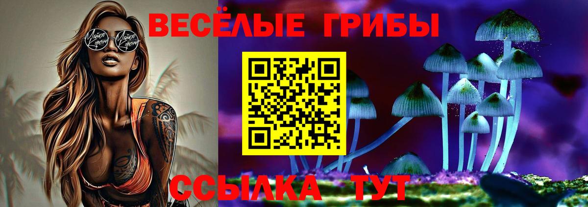 Галлюциногенные грибы ЛСД  Ногинск  Псилоцибиновые грибы Cubensis 