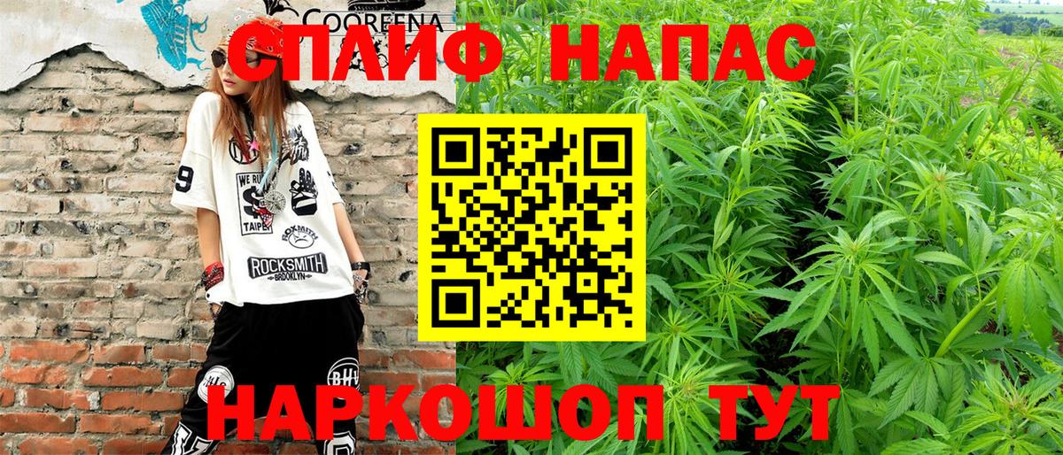 Каннабис OG Kush Ногинск
